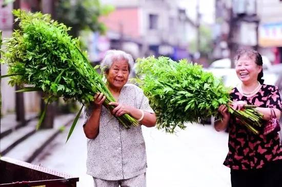 端午节吃粽子